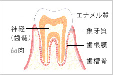 C0（初期段階）